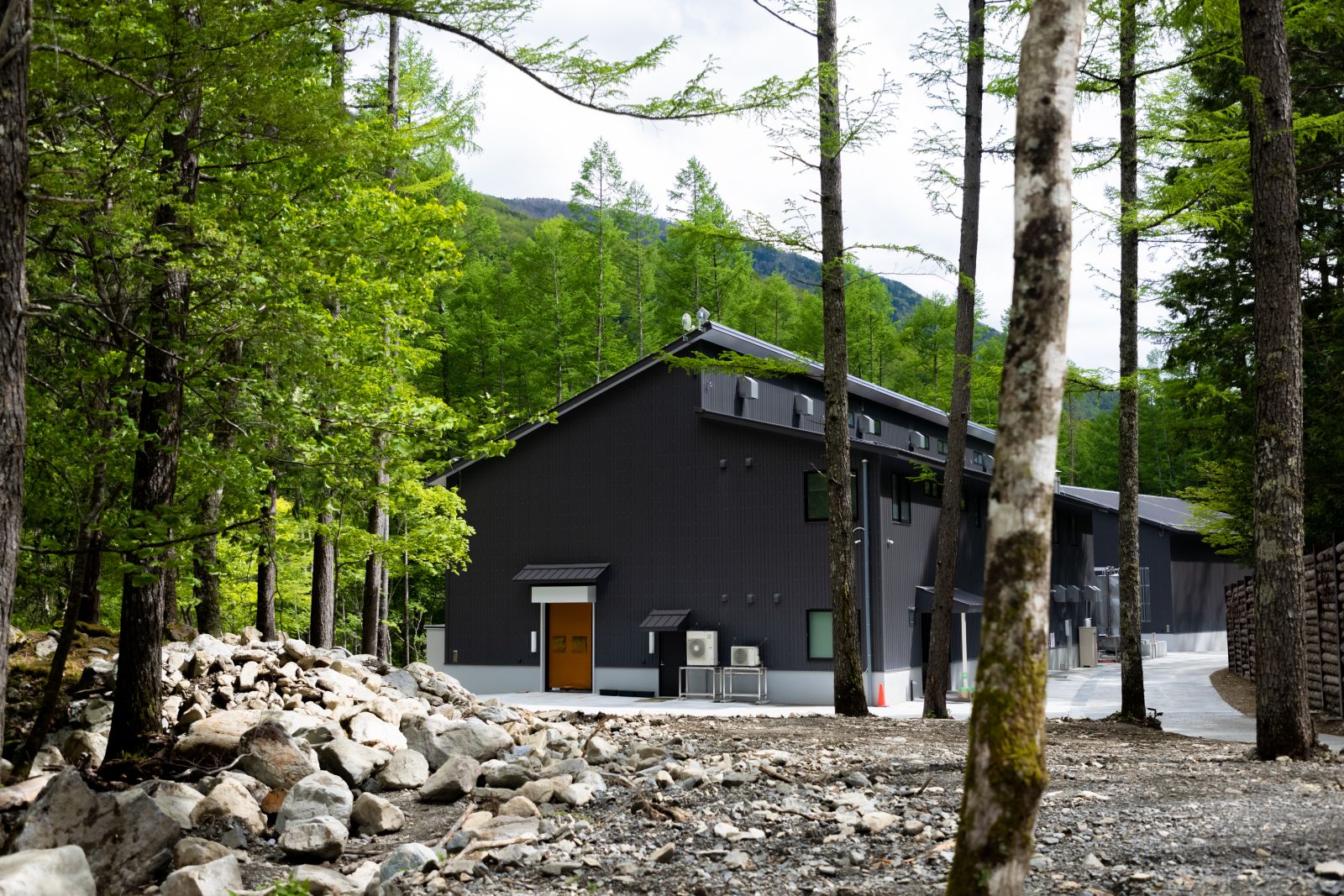 Ikawa Distillery surrounded by forest in Shizuoka