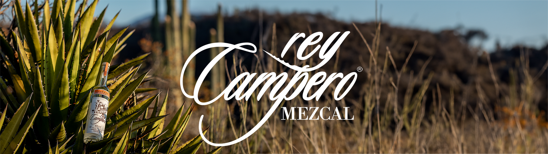 Rey Campero Mezcal