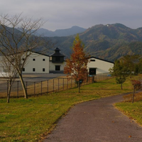 Japanese Whisky: Regions, Distilleries and How to Choose image