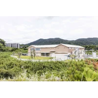 Kanosuke Distillery and the Shape of Modern Japanese Whisky image